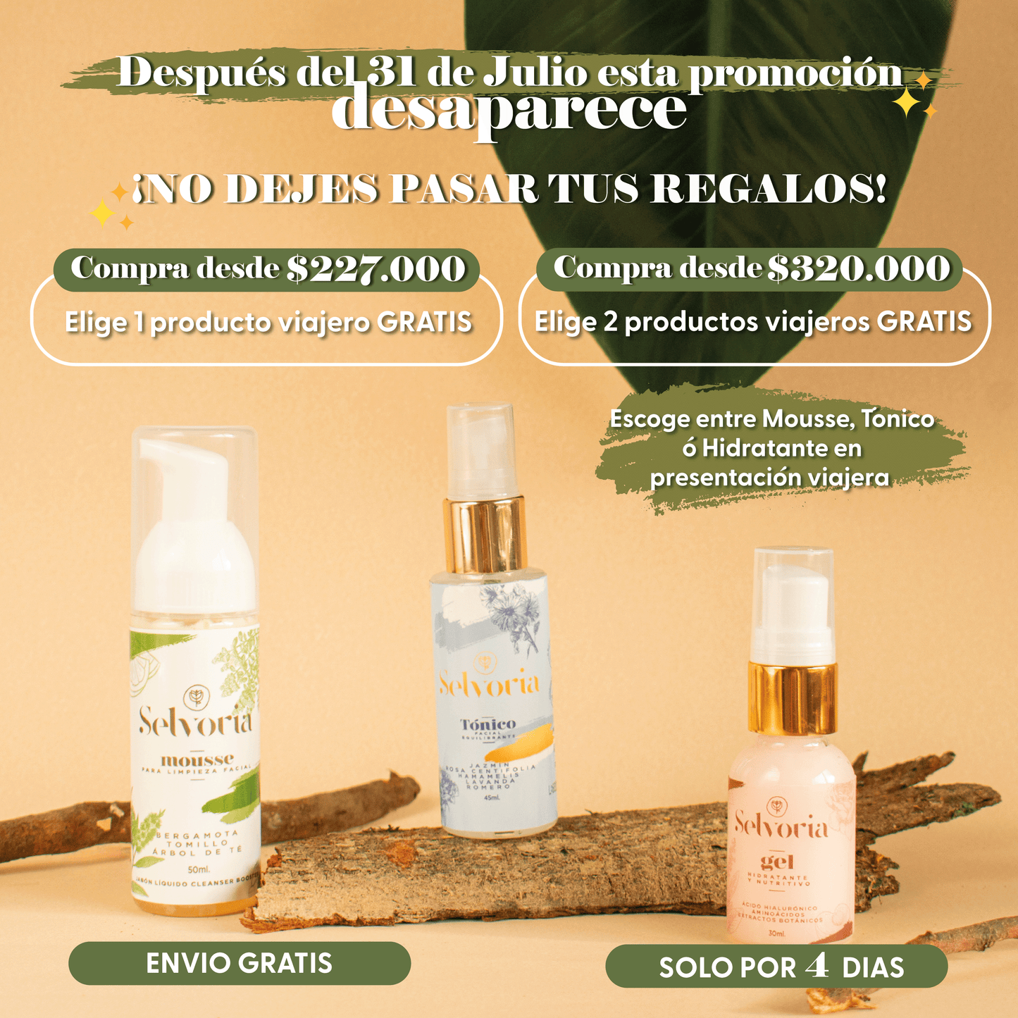 Kit Viajero Promoción