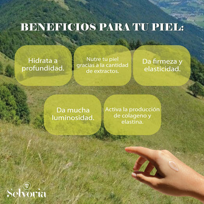 Gel Hidratante y Nutritivo