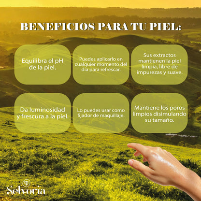 Tónico Facial Equilibrante
